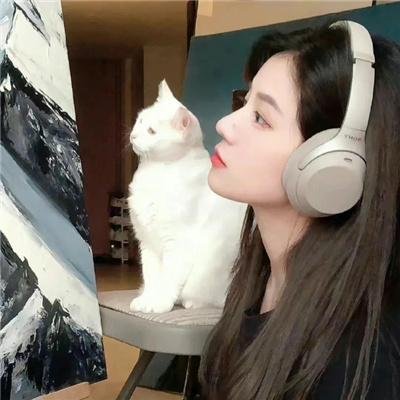 杏林战场